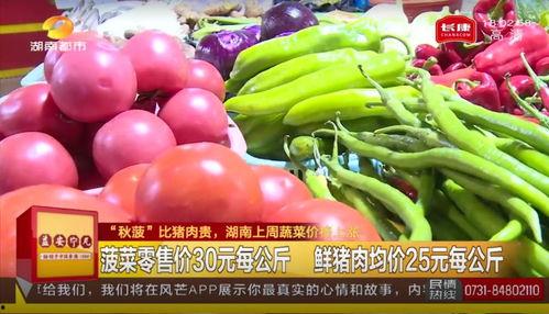 独家爆料官网 怀仁网红大瓜最新消息,独家爆料官网最新劲爆消息揭秘