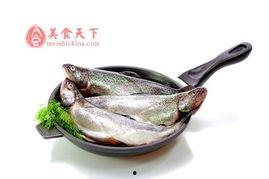 网红黑料牛奶秋刀鱼 吃瓜大赛,牛奶秋刀鱼领衔吃瓜大赛